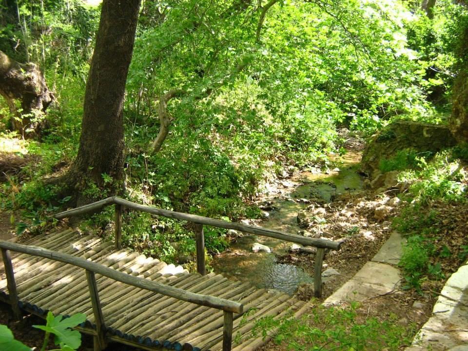 Dimitra Apartments Zakros City Zewnętrze zdjęcie