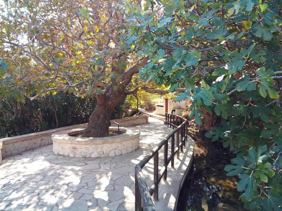 Dimitra Apartments Zakros City Zewnętrze zdjęcie